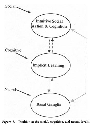 intuition-at-the-social-cognitive-and-neural-levels-Lieberman
